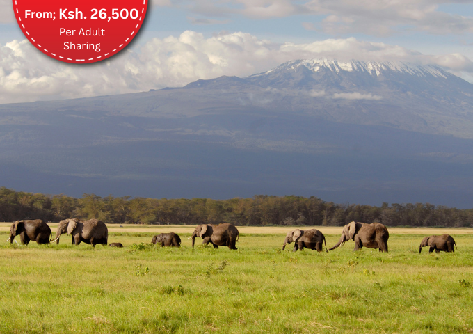 3 Days Safari To  Amboseli National Park 